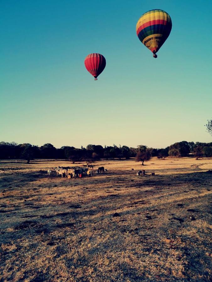 Kromdraai Guest Rooms Krugersdorp Exterior foto